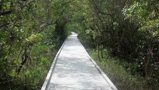 Matanzas Pass Preserve